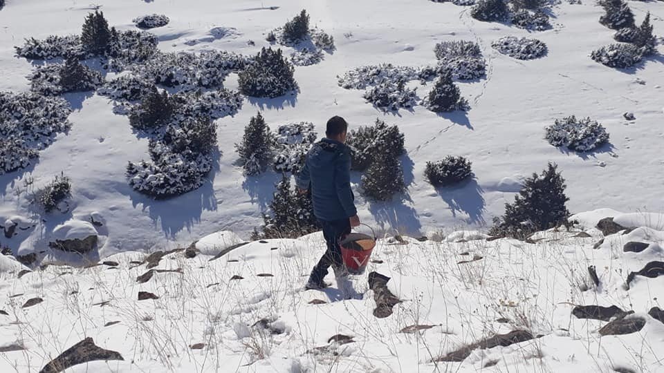 Kars’ta Yaban Hayvanları İçin Doğaya Yem Bırakıldı