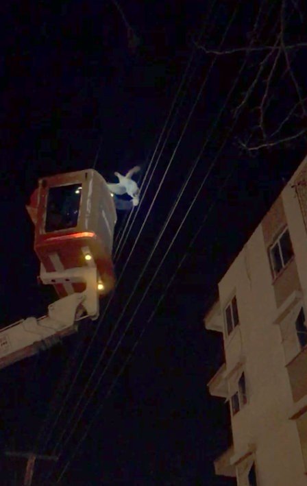 Elektrik Teline Takılan Tavuk Aedaş Ekiplerince Kurtarıldı