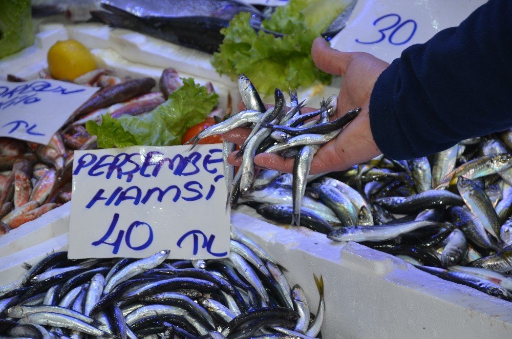 Hamsi Kırmızı Etle Yarışıyor: Fiyatı 40 Lira