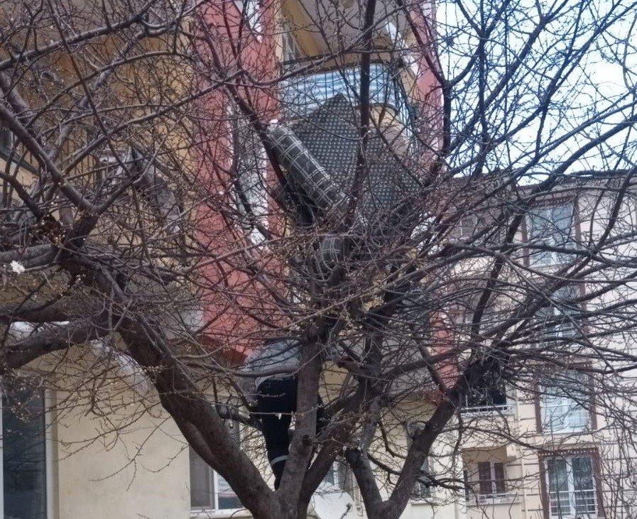 Balkondan Aşağı Attığı Eski Koltuk Ağaçta Takılı Kalınca Belediye Ekiplerinden Yardım İstedi