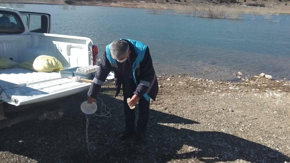 Kureyşler Barajında Nitrak Kirlilik Ölçümü