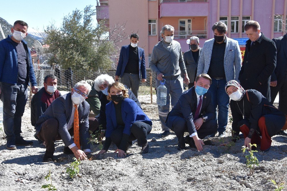 Alkü Akseki Myo Gül Ve Gül Yağı Üretecek