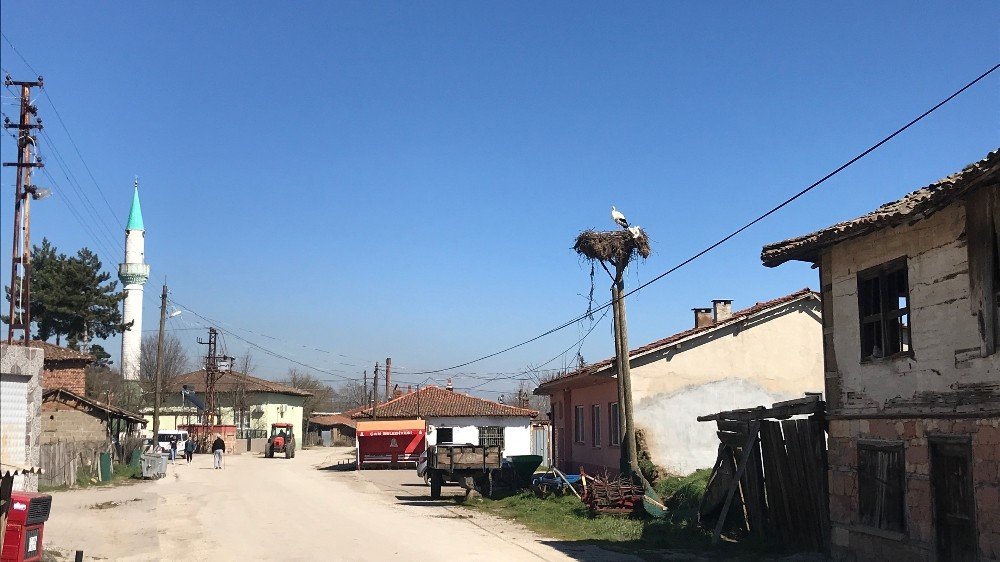 Çanakkale’ye Yılın İlk Leyleği Geldi