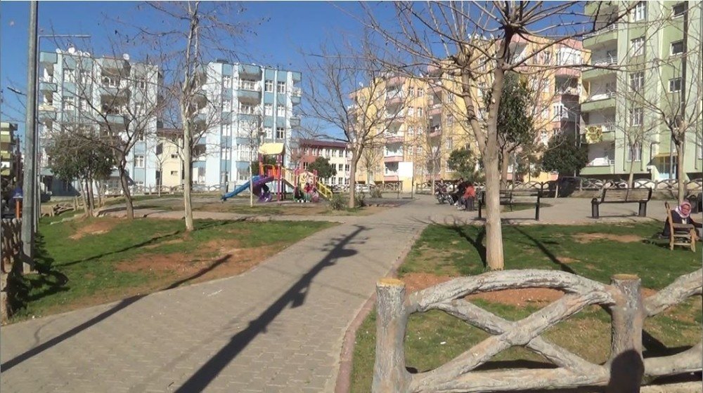 Gaziantep’te Pitbull Kavgası: 1 Yaralı