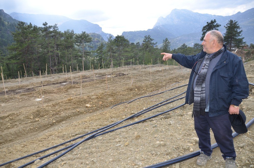 Herkes Köyden Kente Giderken O Almanya’dan Köyüne Döndü