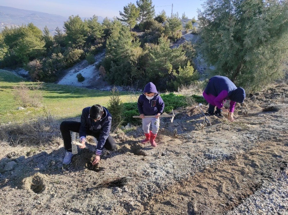 Türkiye’nin En Uzun Lavanta Yolu Manisa’da Yapılacak