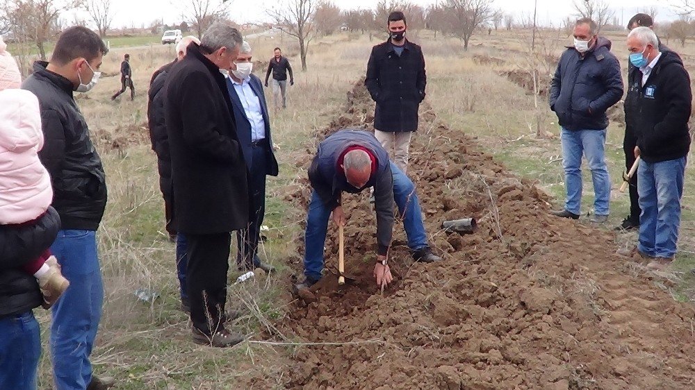 8 Mart Kadınlar Günü İçin Sandıklı’da Fidan Dikimi