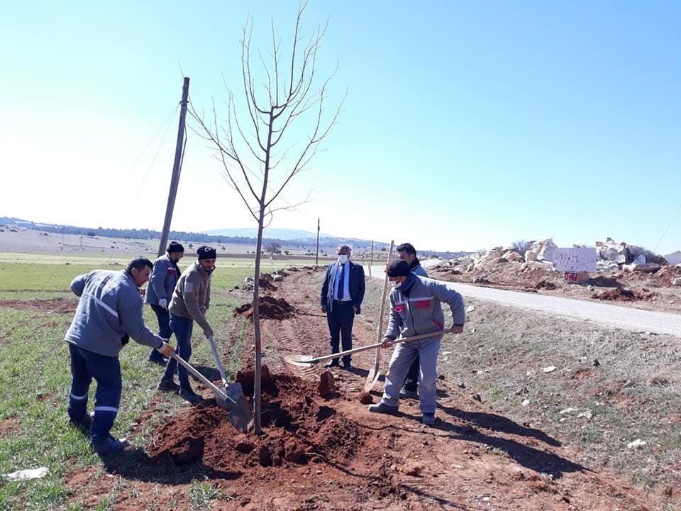 Altıntaş-gediz Yolunda Ağaçlandırma Çalışmaları