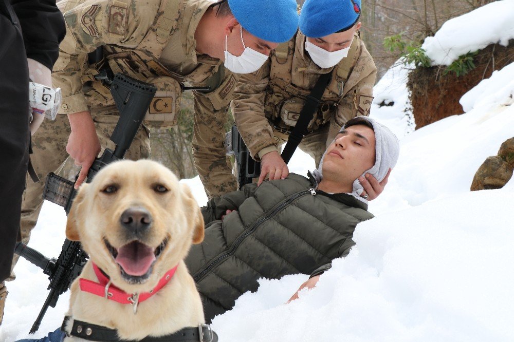 Zonguldak Jandarması’nın ’süper Burun’ Köpekleri