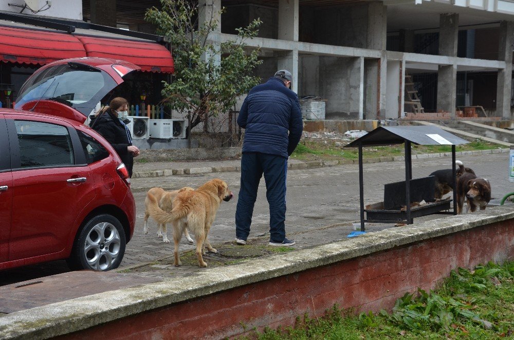 Ordulu Çift Sokak Hayvanlarına Duyarsız Kalmadı