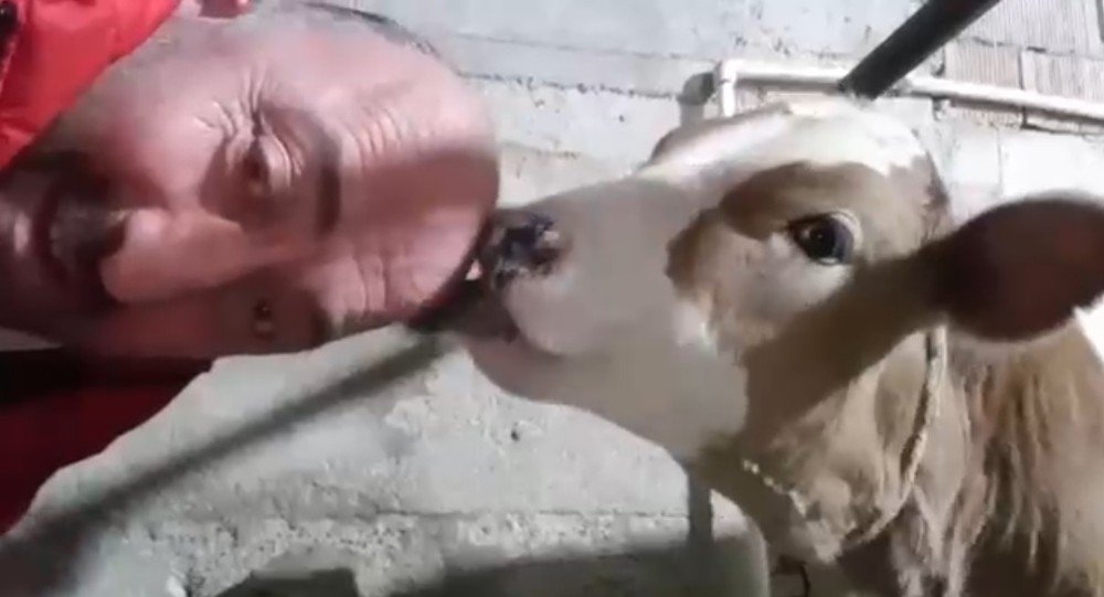 Saçı Olmayan Karadenizlinin İlginç Çözümü
