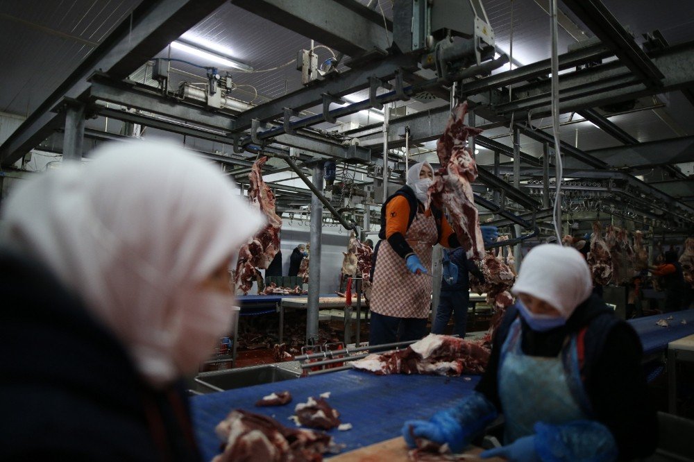 400 Kadın Kasap Her Gün 150 Ton Et İşliyor