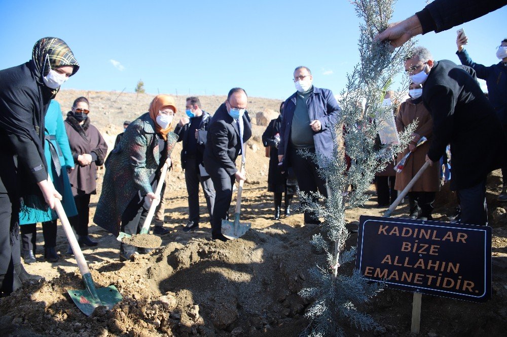 Elazığ’da 11 Şehit Anısına Fidan Dikildi