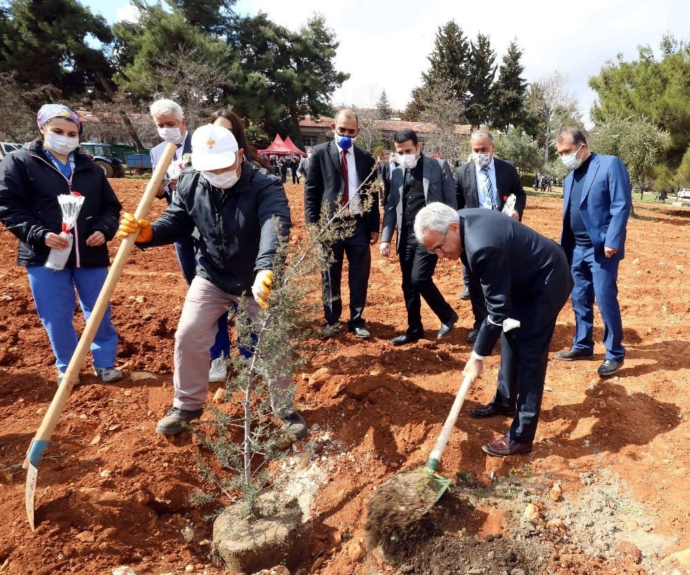 Gaün’den Fidan Dikimi