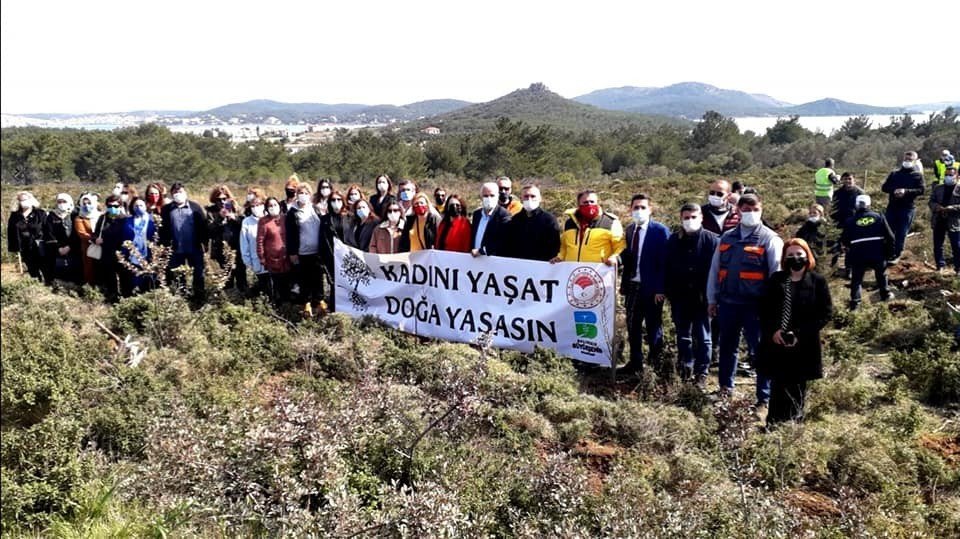 Ayvalık’ta Ak Partili Kadınlardan “güçlü Kadınlar Koruluğu”