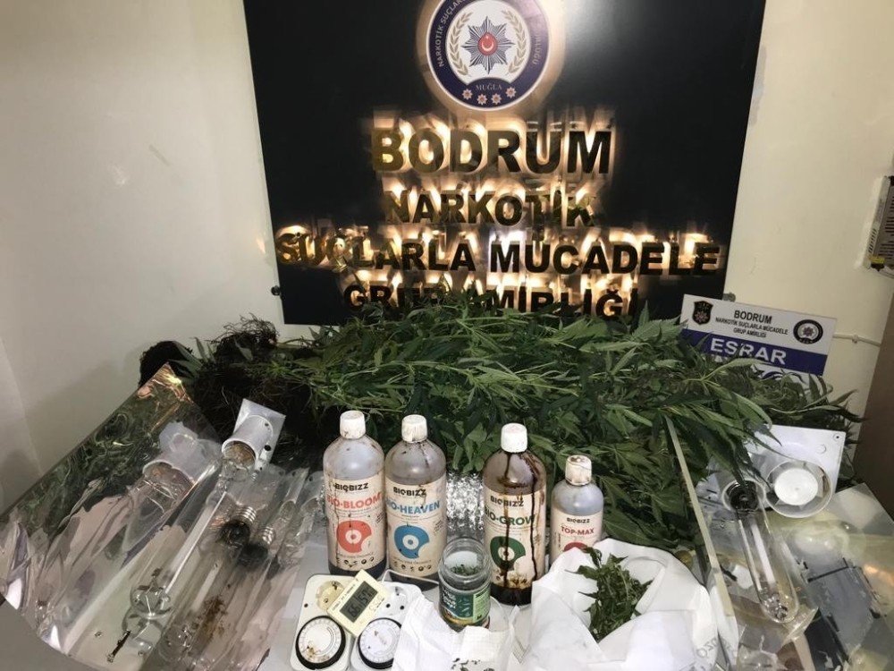 Ev Uyuşturucu Tarlası Çıktı