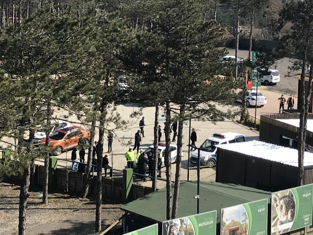 Çekmeköy Hayvanat Bahçesinde Silahlı Kavga: 2 Ölü 1 Yaralı
