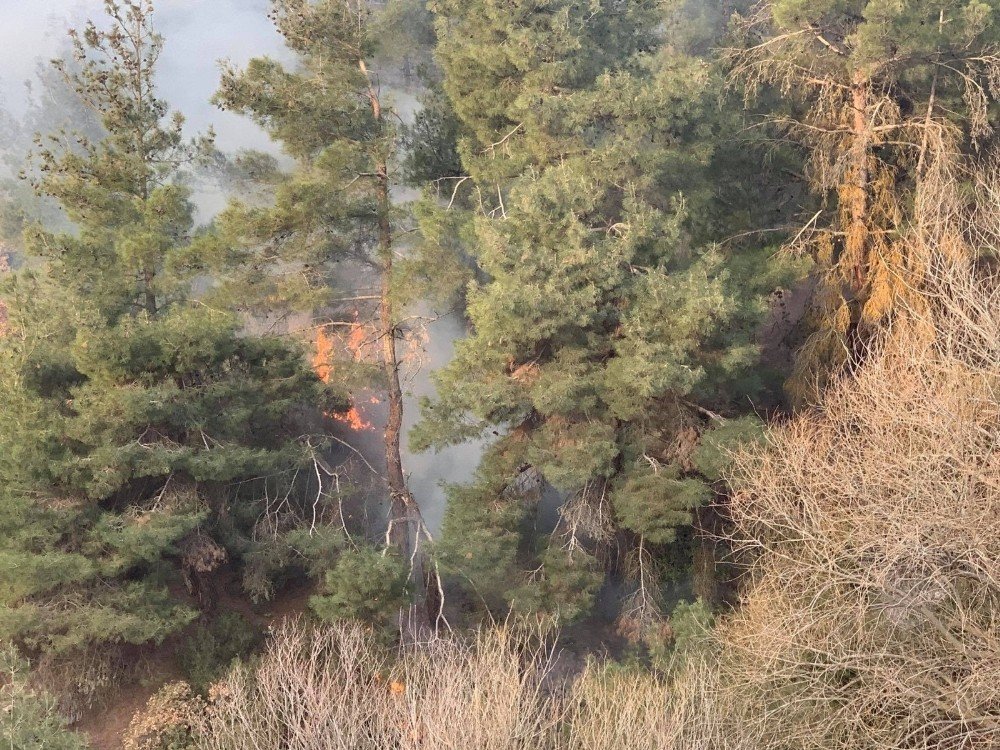 Kış Mevsiminde Orman Yangını Paniğe Neden Oldu