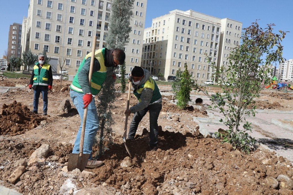 Seyrantepe Yeni Parklarla Yeşilleniyor