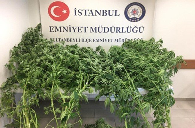 Sultanbeyli’de Uyuşturucu Tacirlerine Ve Suçlulara Göz Açtırılmıyor