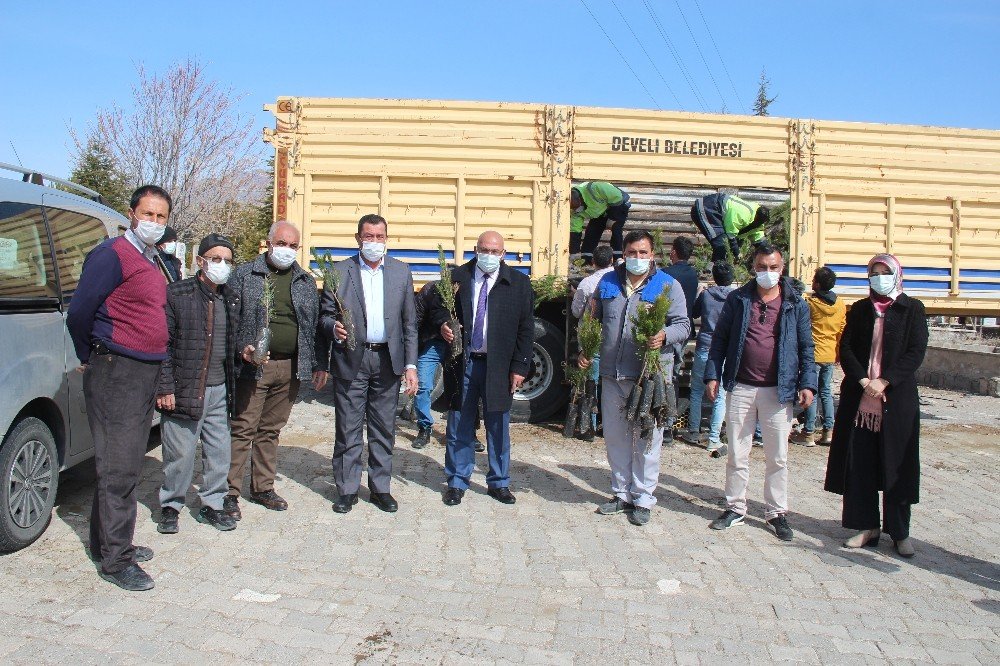 Develi’de 30 Bin Fidan Dağıtıldı