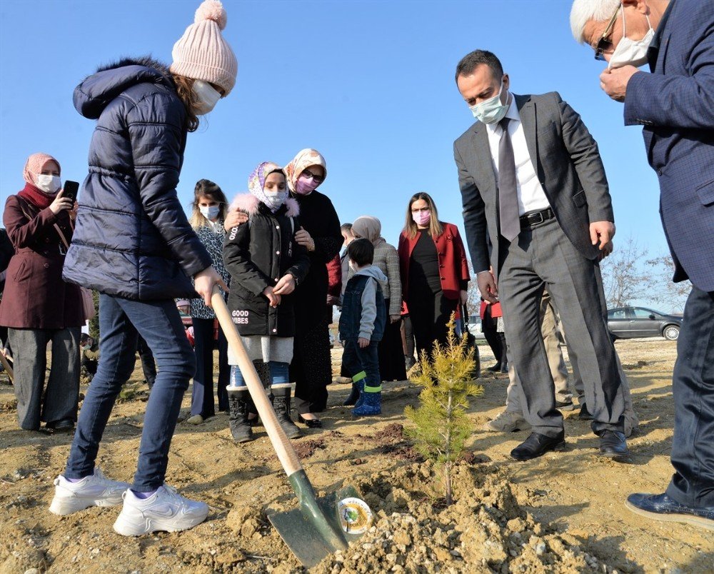 Mercan Hatıra Ormanı Oluşturuldu