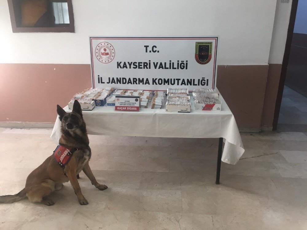 Jandarma 244 Personelle 400 Noktada ‘narkotik Ve Huzurlu Sokakları’ Uygulaması Yaptı