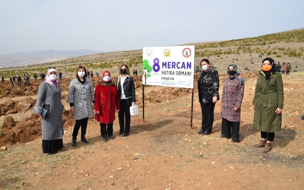 Kırşehir’de, Mercan Ormanı Oluşturuldu