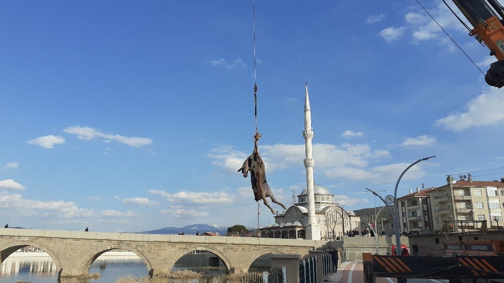 Kızılırmak’a Düşen Büyükbaş Hayvan Vinç Yardımı İle Çıkarıldı