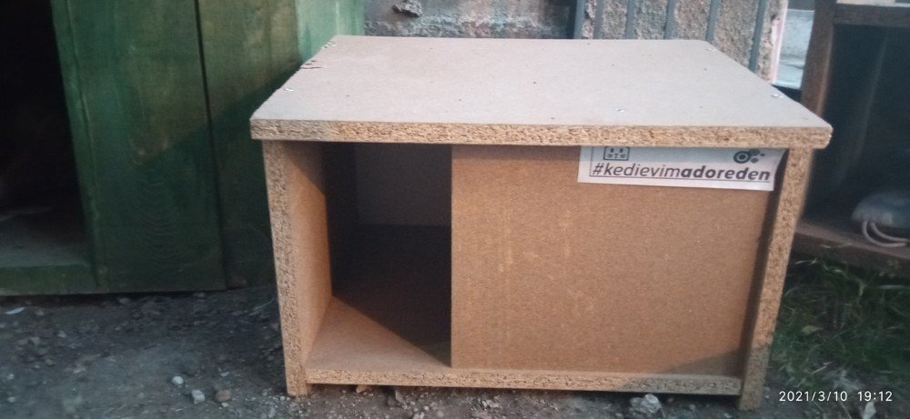 Kedi Evlerini Hayvanseverlere Hediye Etti