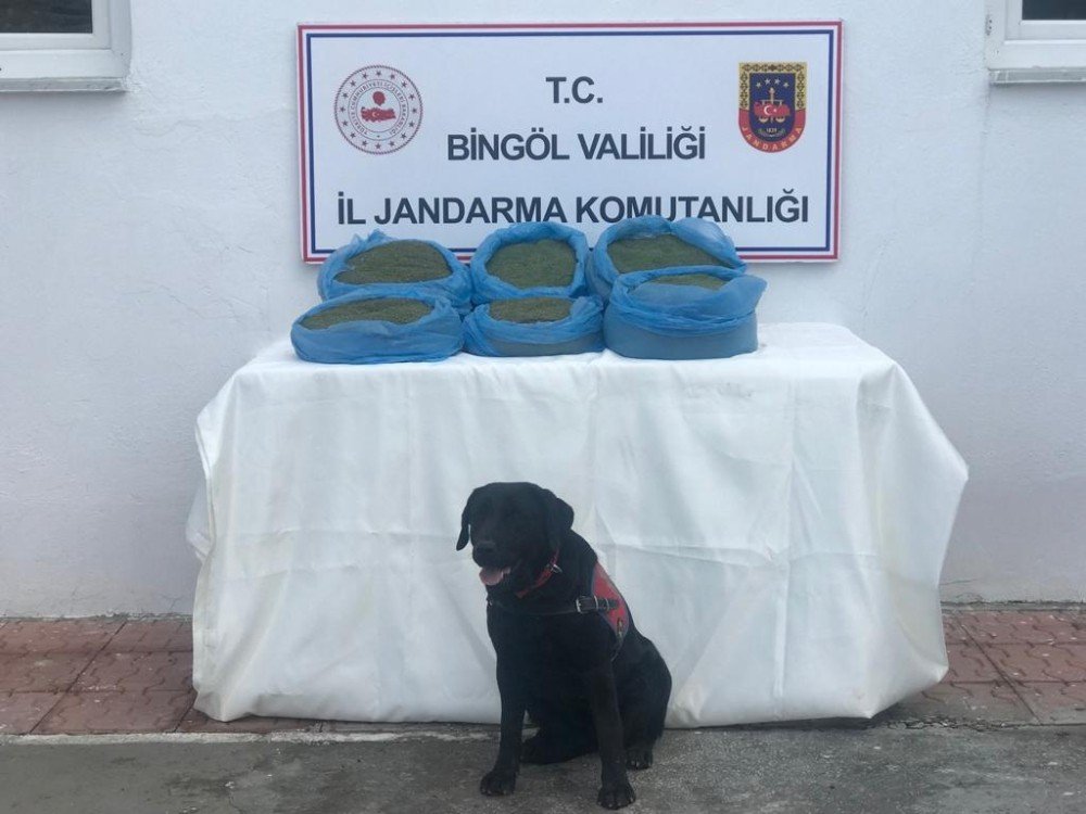 Bingöl’de 58 Kilo Uyuşturucu Ele Geçirildi, 22 Şüpheli Hakkında İşlem Yapıldı