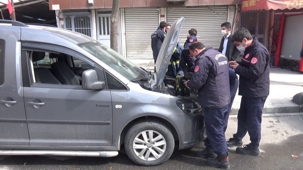 Aracının Motorunda Yavrulayan Kedi İçin Seferber Oldu