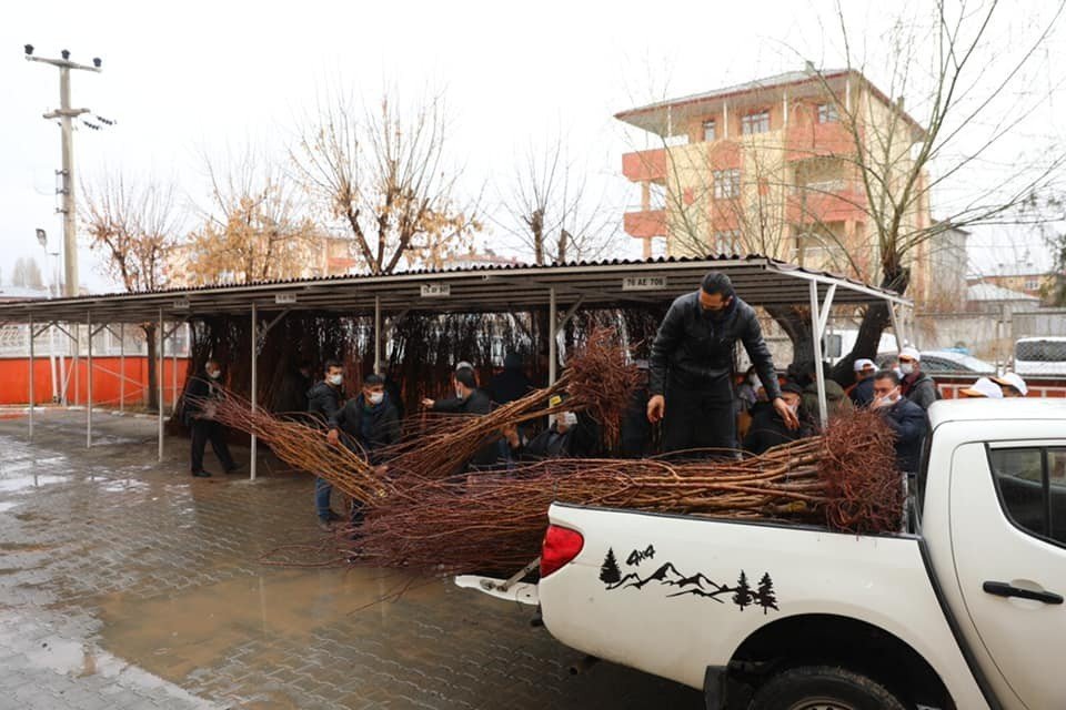 Iğdır’da Çiftçilere Kayısı Fidanı Dağıtıldı