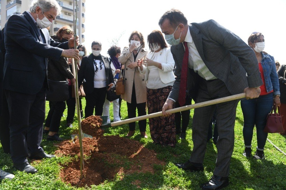Mimozalar Yenişehir’de Toprakla Buluştu