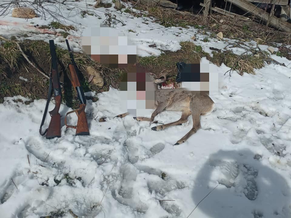 Avı Yasak Karacayı Avlayınca Suçüstü Yakalandılar