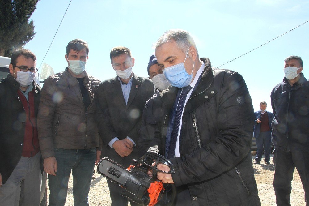 Yabani Ahlat Ağaçları Ekonomiye Kazandırılacak