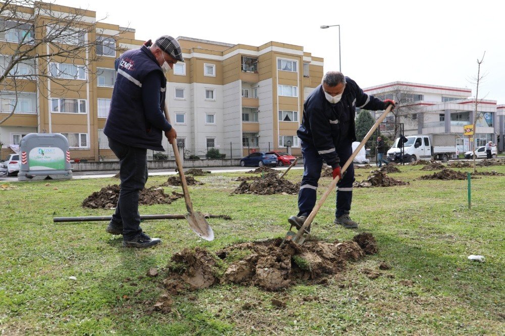 Hayatını Kaybeden Sağlıkçılar İçin Fidan Dikildi