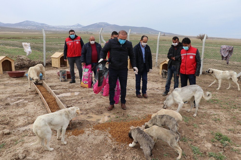 Köpekleriyle Köyünden Kovulan Engelli Gence Vali Aydoğdu Sahip Çıktı