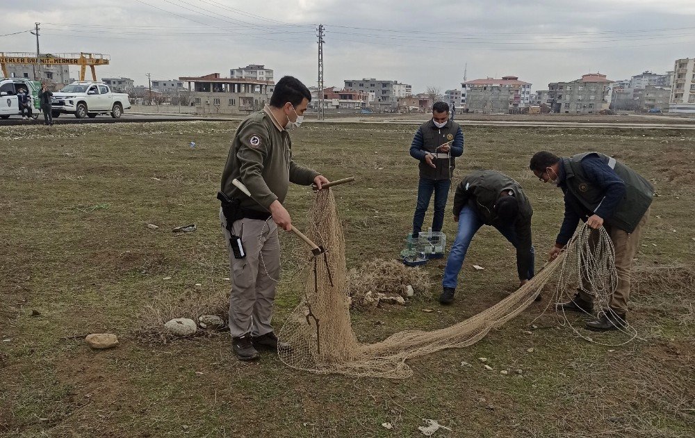 Batman’da Koruma Altındaki Kuşları Avlayan Şahıs Suçüstü Yakalandı