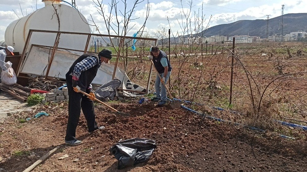 Gercüş’te Bağ Bahçe Budama Dönemi Başladı