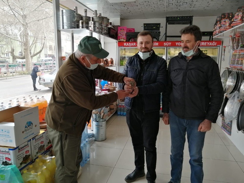 Yaralı İ̇shak Kuşu’na Doğa Koruma Ve Milli Parklar’dan Yardım Eli