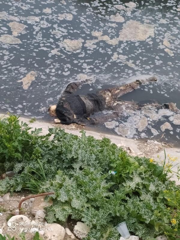 Mersin’de Su Kanalında Erkek Cesedi Bulundu