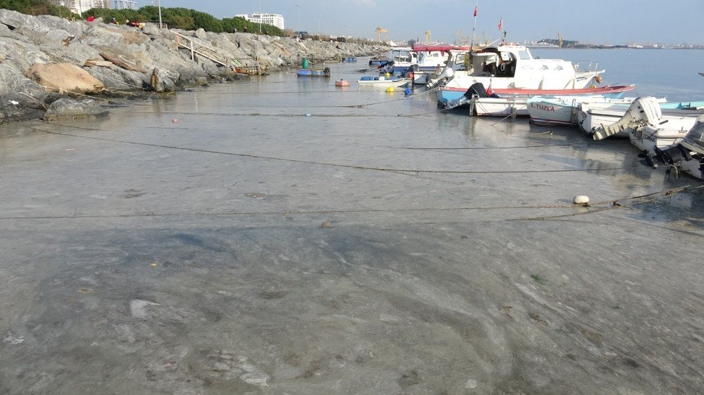 Pendik’te Korkutan Görüntünün Gerçek Nedeni Belli Oldu