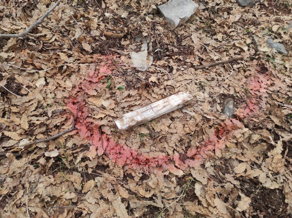 Siirt’te Pkk’lı Teröristlerin Tuzağı Son Anda Önlendi