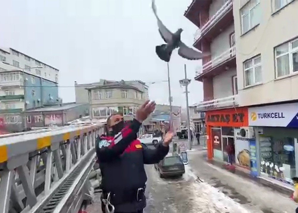 Ağaçta Asılı Kalan Güvercini İtfaiyeciler Kurtardı