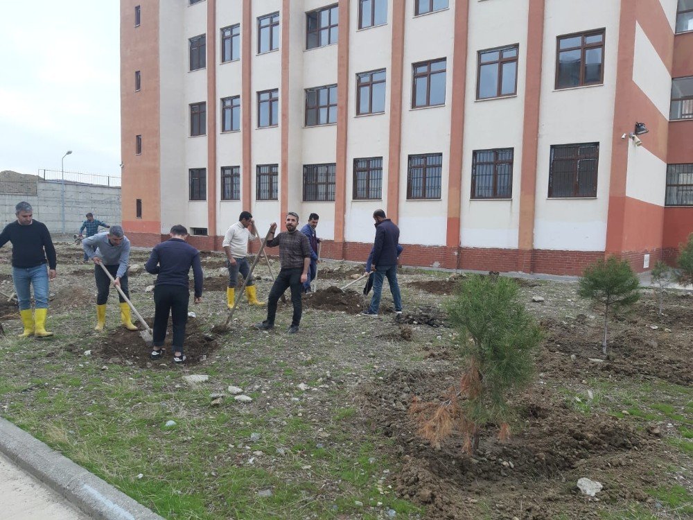 Kulp’ta İ̇mam Hatip Lisesi Bahçesine 150 Adet Dut Fidanı Dikildi
