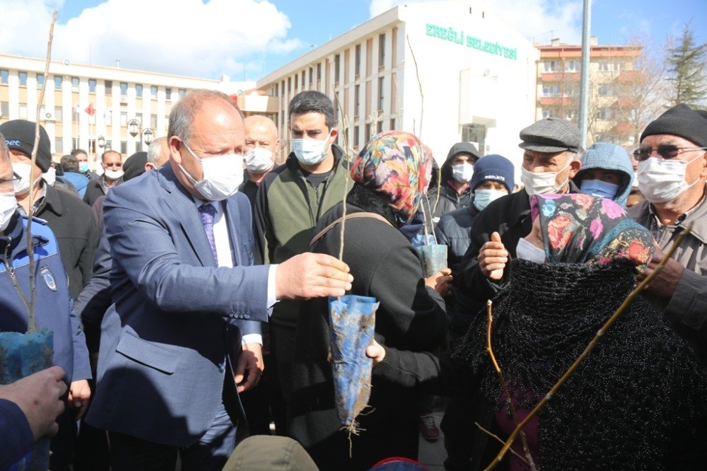 Ereğli Belediyesi’nden Vatandaşlara 30 Bin Fidan
