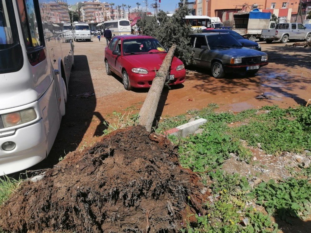 Mersin’de Fırtına Araç Ve Tarım Arazilerine Zarar Verdi