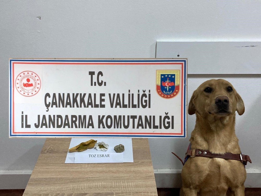 Çanakkale’de Uyuşturucu Operasyonu: 5 Gözaltı