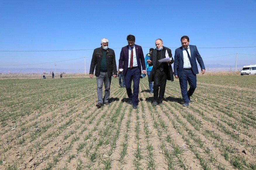 Eskişehir’de 20 Çeşit Yerli Ve Milli Tohum Deneme Çalışması